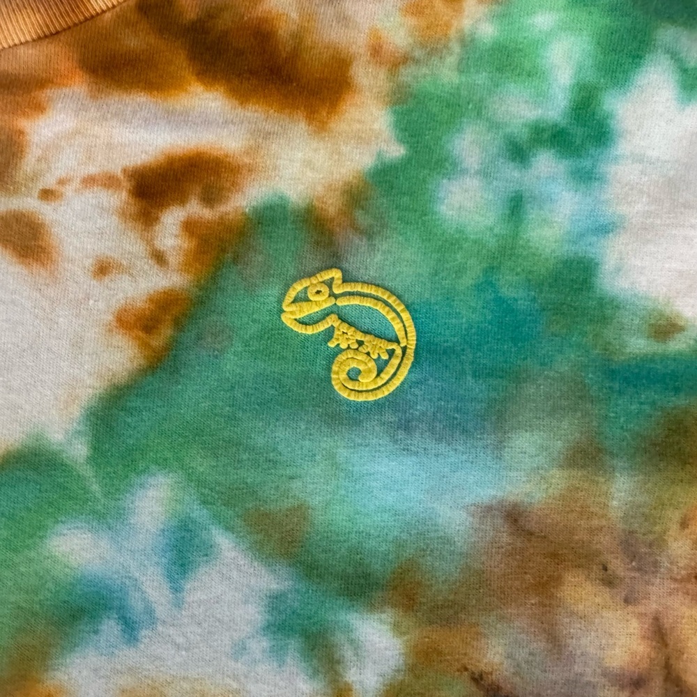 Hand dyed “ADAPT” Tee - Picture 2 of 3